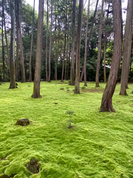 唐招提寺(奈良県)
