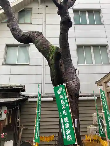 少彦名神社のその他建物