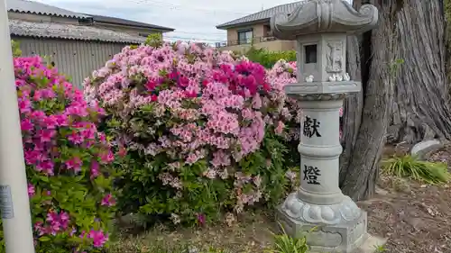 玉田神社(京都府)
