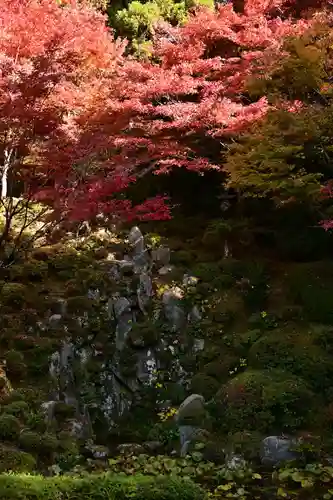 金剛輪寺(滋賀県)