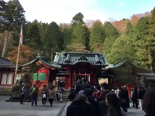 箱根神社の本殿