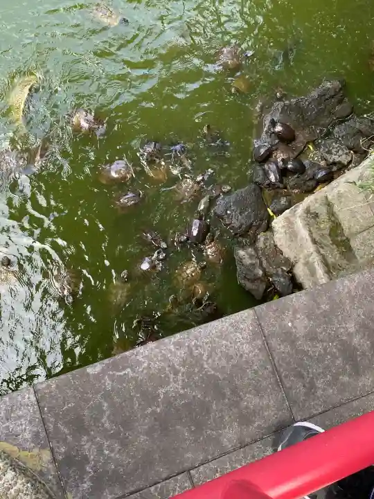 亀戸天神社の{uncategorized: "未分類", other: "その他", undefined: "問題あり", building: "その他建物", grave: "お墓", sacred_gate: "鳥居", guardian: "狛犬", statue: "像", buddha: "仏像", history: "歴史", nature: "自然", garden: "庭園", animal: "動物", pagoda: "塔", temizu: "手水舎", mountain_gate: "山門・神門", sanctuary: "本殿・本堂", subordinate: "末社・摂社", art: "芸術", scenery: "景色", jizo: "地蔵", ema: "絵馬", goshuin: "御朱印", omikuji: "おみくじ", items: "授与品その他", amulet: "お守り", goshuincho: "御朱印帳", eats: "食事", festival: "お祭り", votive_dance: "神楽", shichigosan: "七五三参", wedding: "結婚式", experience: "体験その他", initially: "初詣", around: "周辺", anti_infection: "感染症対策"}