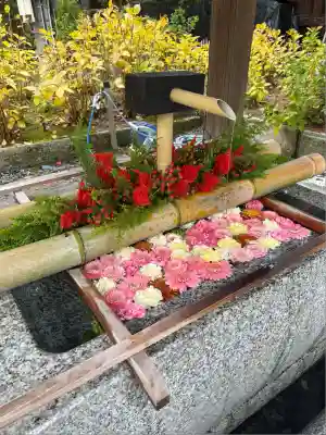 白山神社(新潟県)