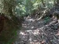 毘沙門窟の自然