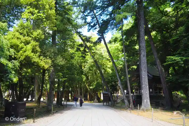 出雲大社(島根県)