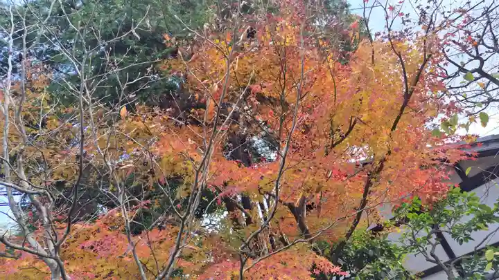 霊源院(京都府)