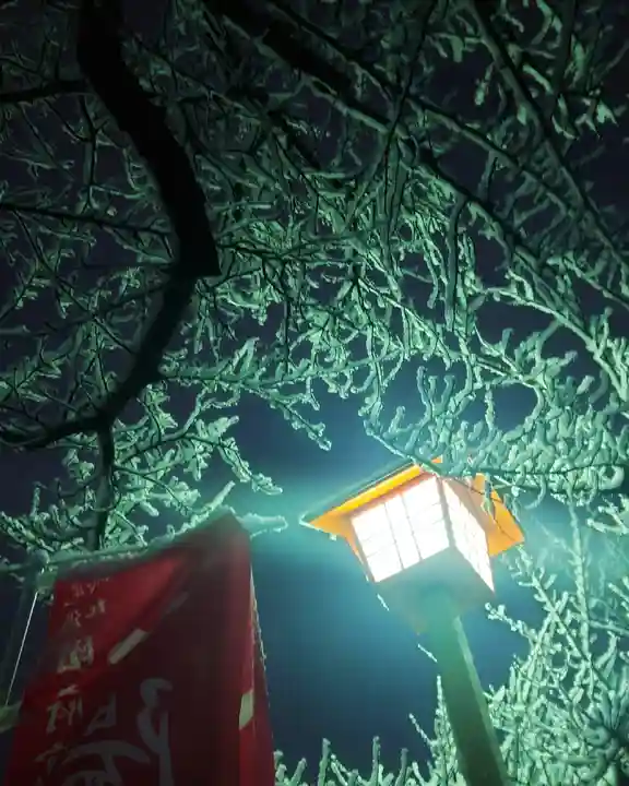 尾張大國霊神社(国府宮)のその他建物