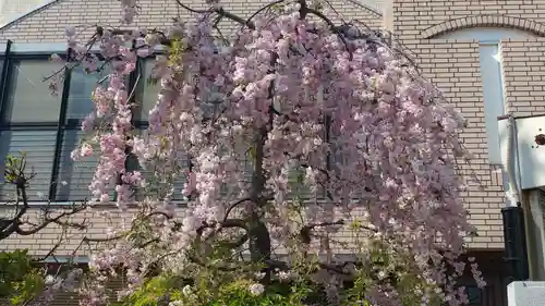 久富稲荷神社の自然