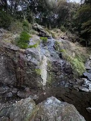 國分寺奥の院(毘沙門堂)の自然