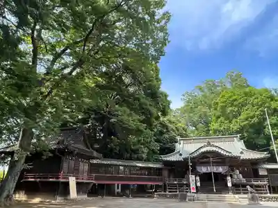雀神社(茨城県)