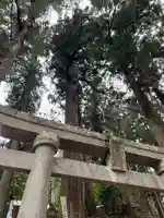 大宮温泉神社(栃木県)