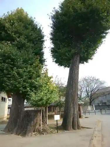 喜多院(埼玉県)