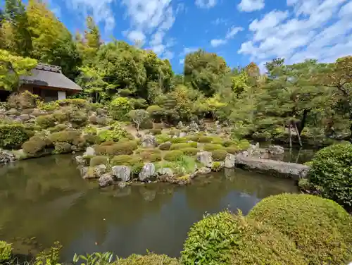 等持院の庭園