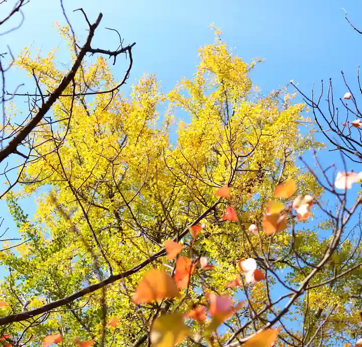 三津厳島神社の自然