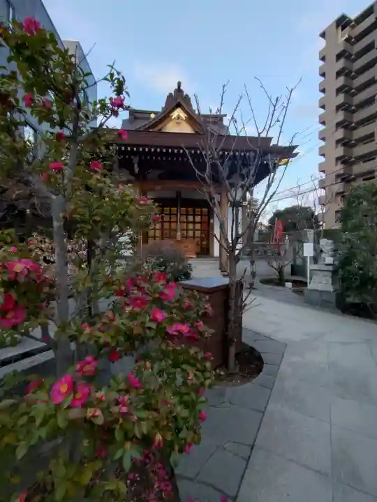 太上神社の{uncategorized: "未分類", other: "その他", undefined: "問題あり", building: "その他建物", grave: "お墓", sacred_gate: "鳥居", guardian: "狛犬", statue: "像", buddha: "仏像", history: "歴史", nature: "自然", garden: "庭園", animal: "動物", pagoda: "塔", temizu: "手水舎", mountain_gate: "山門・神門", sanctuary: "本殿・本堂", subordinate: "末社・摂社", art: "芸術", scenery: "景色", jizo: "地蔵", ema: "絵馬", goshuin: "御朱印", omikuji: "おみくじ", items: "授与品その他", amulet: "お守り", goshuincho: "御朱印帳", eats: "食事", festival: "お祭り", votive_dance: "神楽", shichigosan: "七五三参", wedding: "結婚式", experience: "体験その他", initially: "初詣", around: "周辺", anti_infection: "感染症対策"}