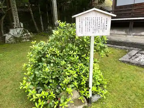 西教寺(滋賀県)