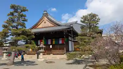 妙蓮寺(京都府)