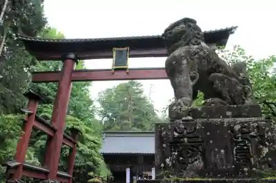 北口本宮冨士浅間神社の狛犬