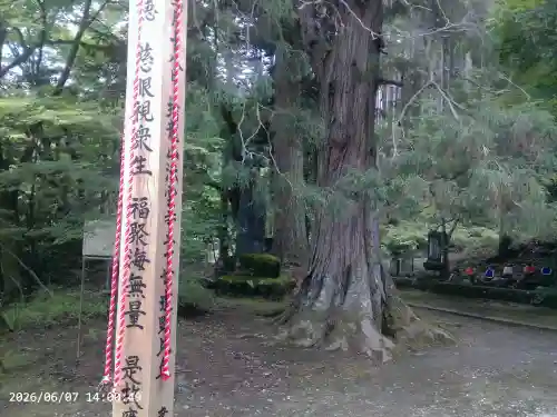 法雲寺(埼玉県)