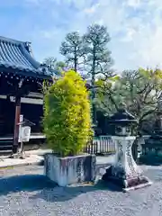 廬山寺（廬山天台講寺）(京都府)