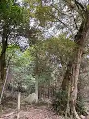 白鬚神社(滋賀県)