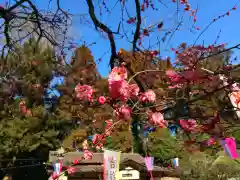 芳賀天満宮の自然