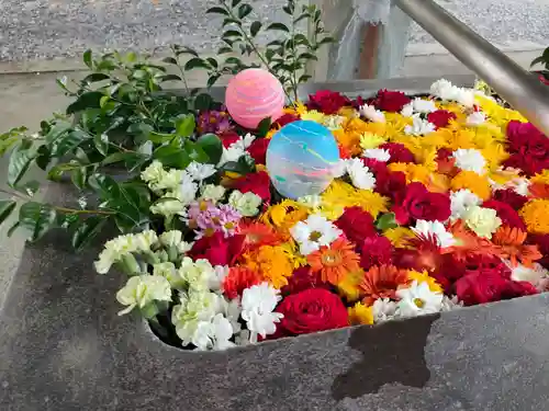 美濃國一宮　南宮大社の手水舎