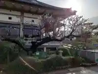 圓蔵院(和歌山県)