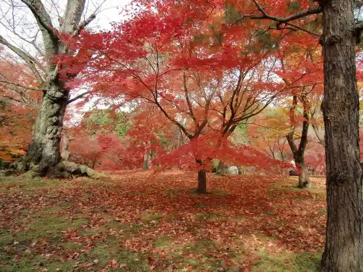 東福禅寺(東福寺)の景色