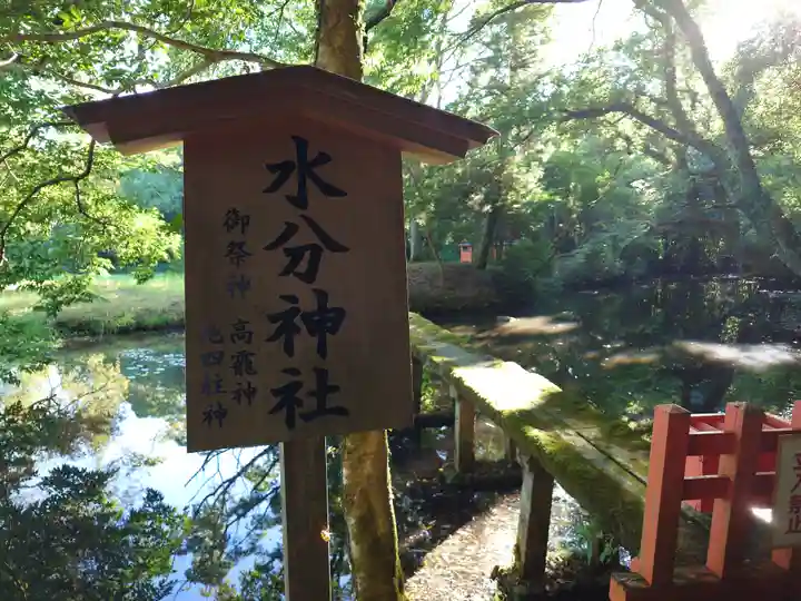 宇佐神宮(大分県)