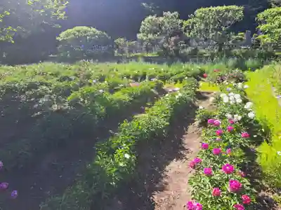 龍寳寺（龍宝寺）(神奈川県)