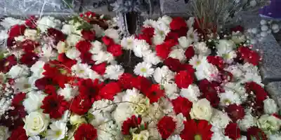 札幌諏訪神社の手水舎