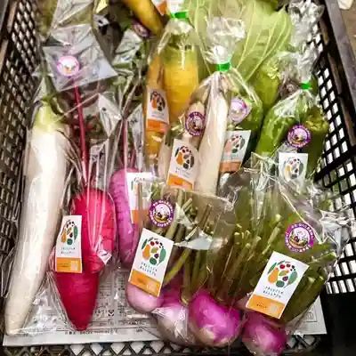 遠照山 光明寺（尼崎大仏）(兵庫県)