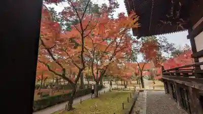 真正極楽寺(真如堂)(京都府)