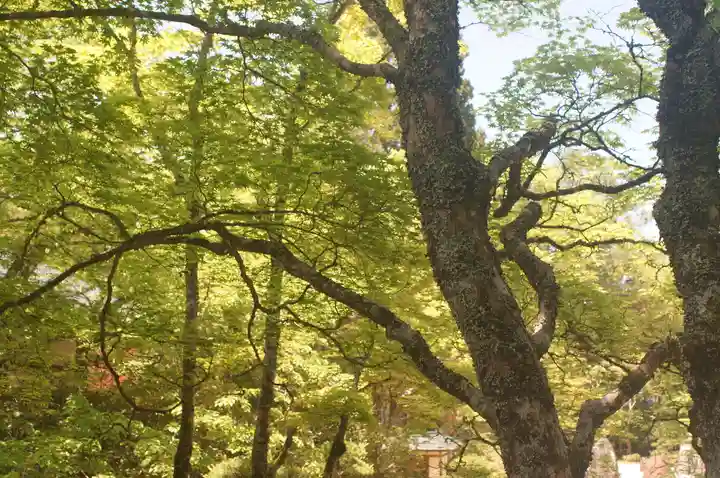 高野山金剛峯寺(和歌山県)