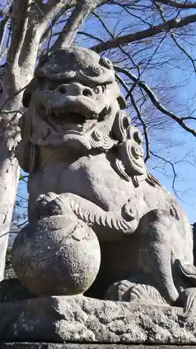 (下館)羽黒神社の狛犬