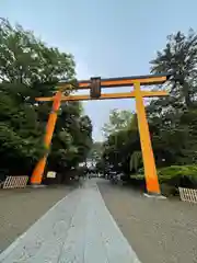 川越氷川神社(埼玉県)