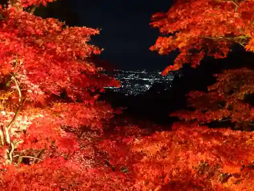 大山寺(神奈川県)