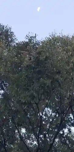 上小岩天祖神社(東京都)
