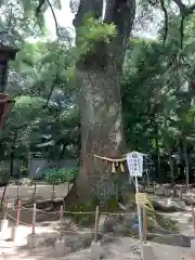 生瀬皇太神社(兵庫県)