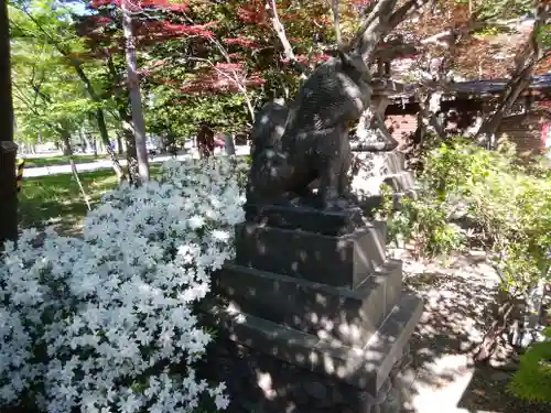 彌彦神社　(伊夜日子神社)の狛犬