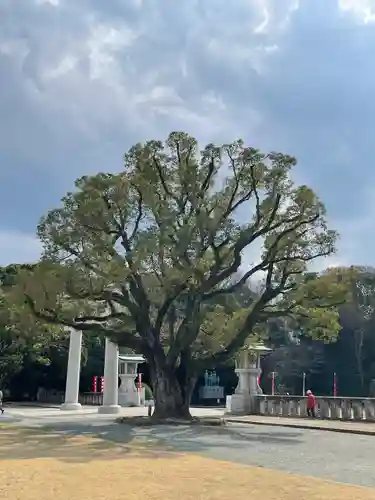 福岡縣護國神社の自然
