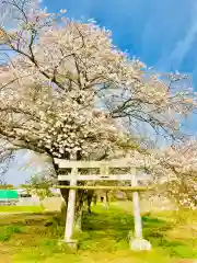 鹿嶋神社の鳥居