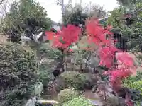 円常院(圓常院) enjoyntemple(京都府)