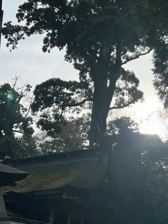 鹿島神宮(茨城県)