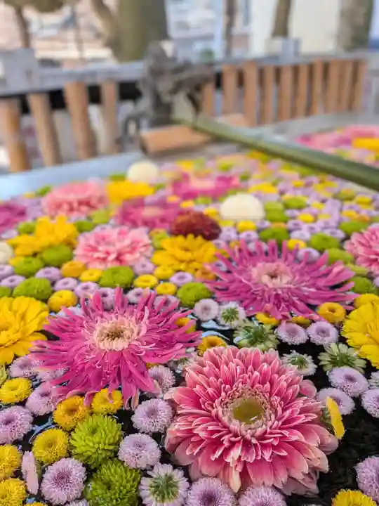 高円寺氷川神社(東京都)