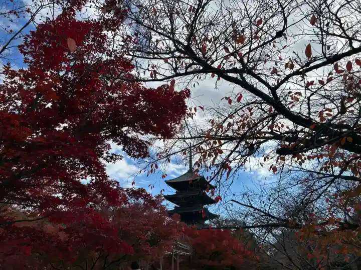 東寺(教王護国寺)(京都府)