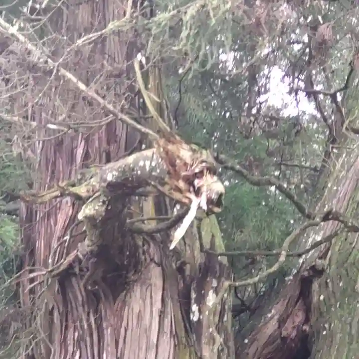 高岡神社(岡山県)