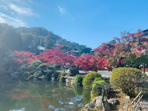 明王院の庭園