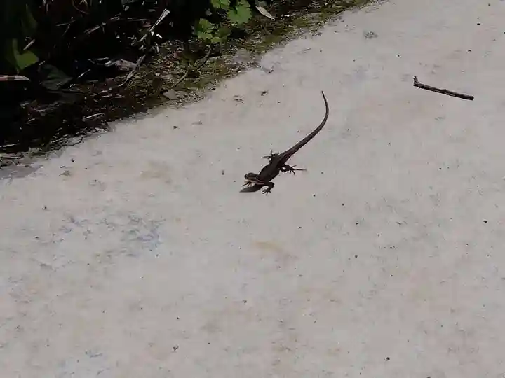 鍵岡神社(福井県)